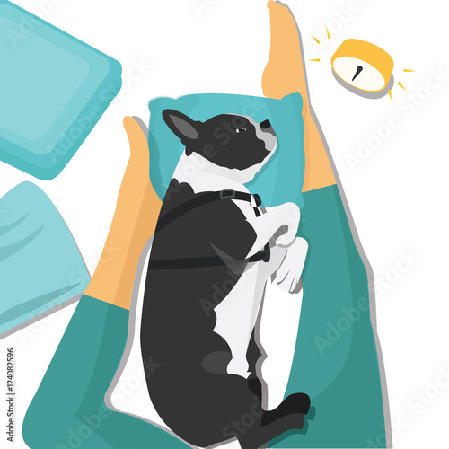 vector illustration of a dog sleeping