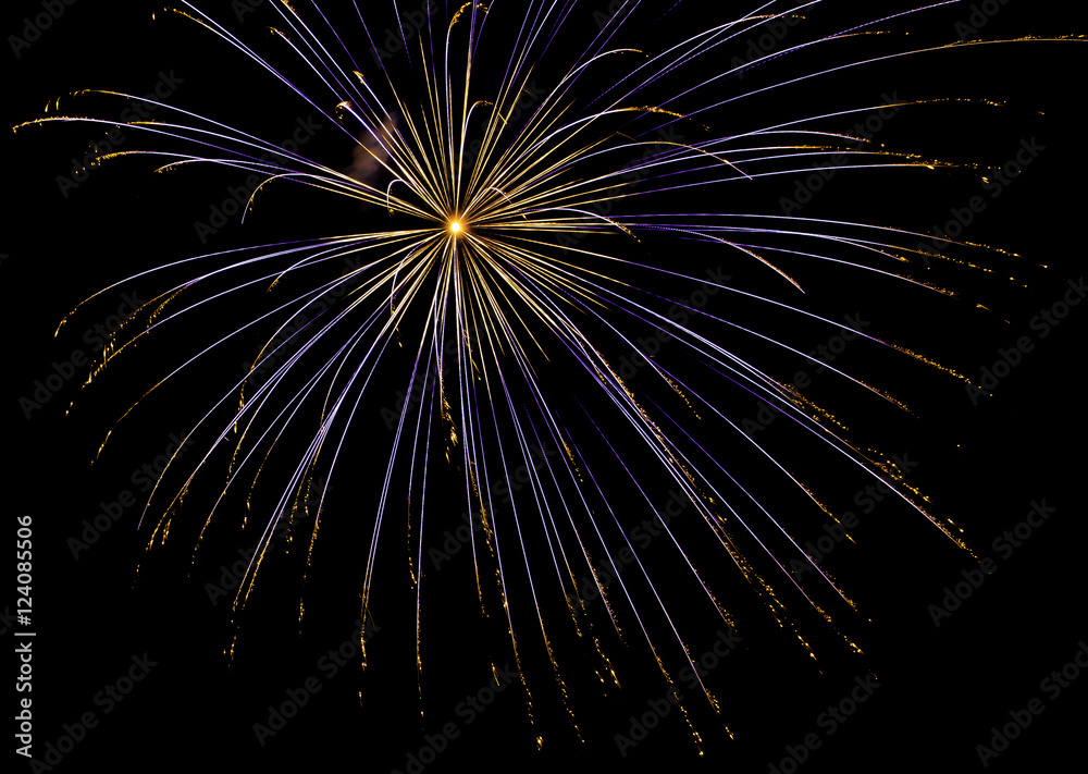 Fototapeta premium Fireworks in night sky