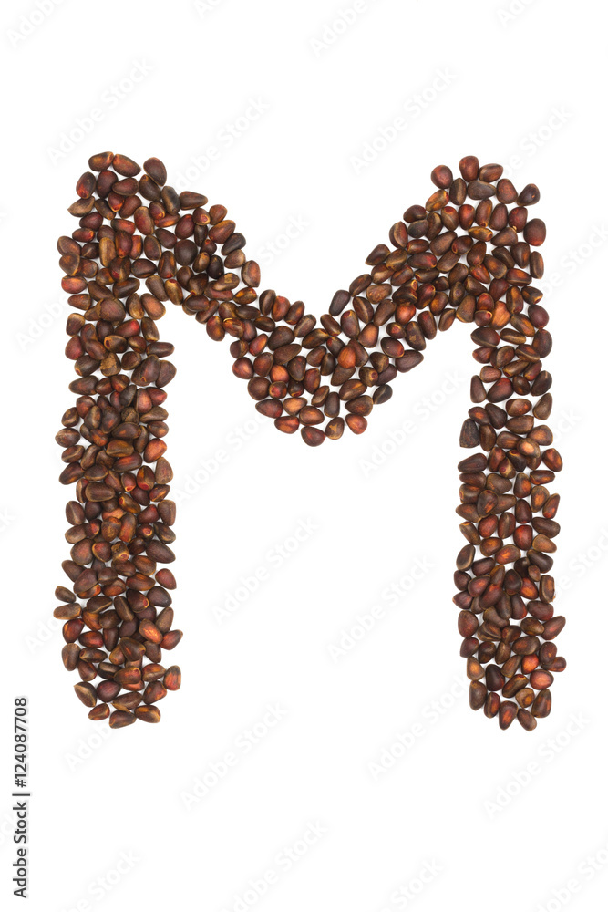 M letter made of cedar nuts M letter made of cedar nuts
