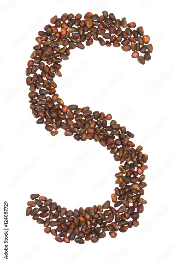 S letter made of cedar nuts S letter made of cedar nuts