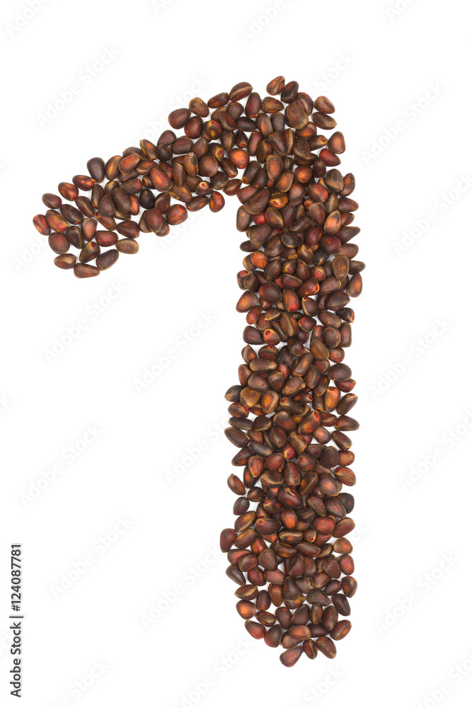 Obraz premium one number made of cedar nuts