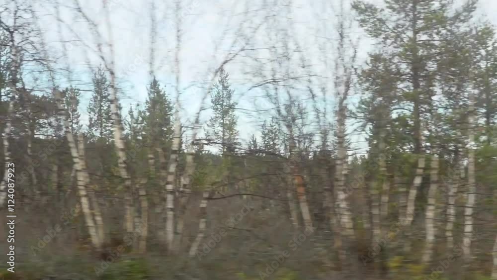View from a car window, on a drive from muonio towards kilpisjarvi, in Finland View from a car window, on a drive from muonio towards kilpisjarvi, in Finland