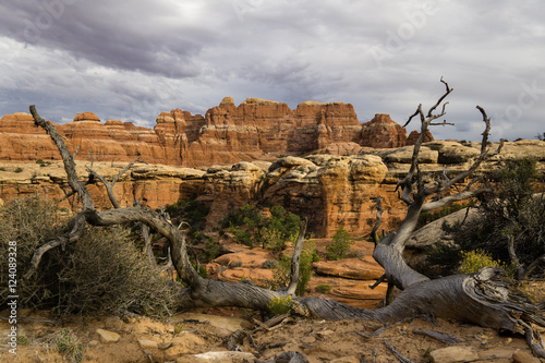 Canyonlands Needles