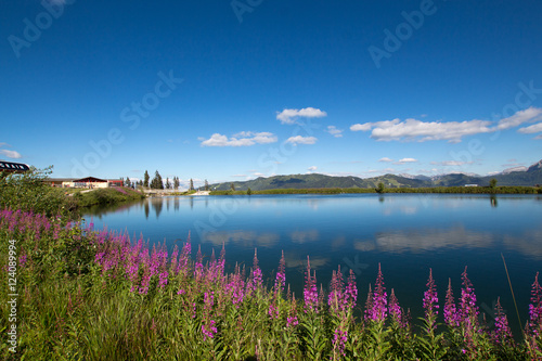 Blue lake and purple flowers near mountains