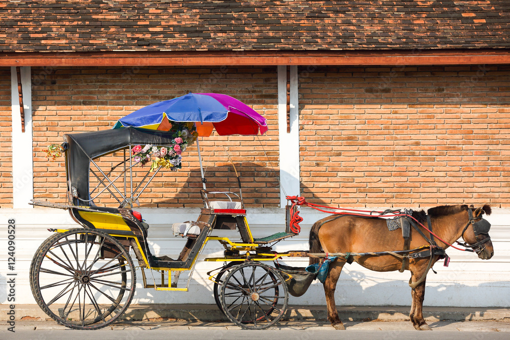 Obraz premium THE HORSE CARRIAGE IN LAMPANG PROVINCE THAILAND