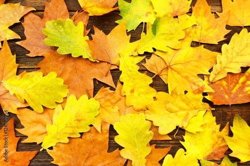Colorful autumn leaves on old wooden background