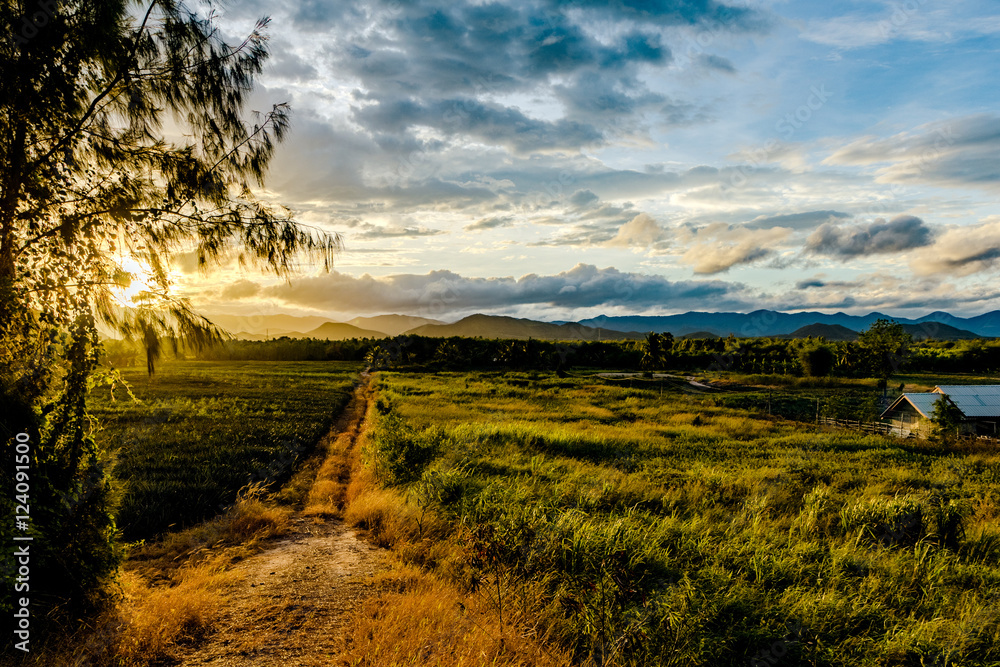 Country road at evening sunset