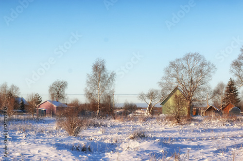 winter forest landscape sunlight snow © alexkich