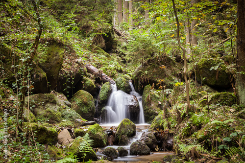 Fototapeta Naklejka Na Ścianę i Meble -  kleiner Wasserfall im Wald