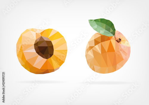 Low Poly Apricot