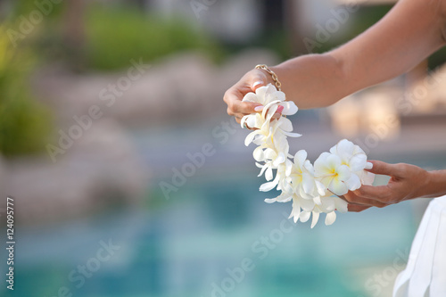 Woman hands holding Flower lei garland of white plumeria.