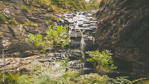 Sheoak Falls bei Lorne an der Great Ocean Road, Victoria in Australien photo