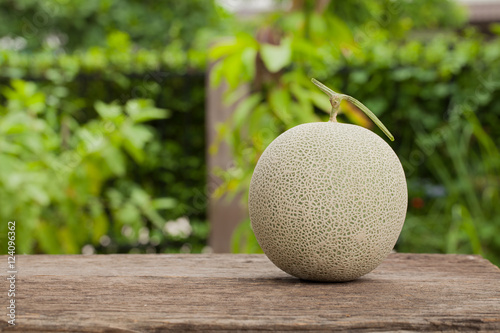 Fresh melons on wooden natural background