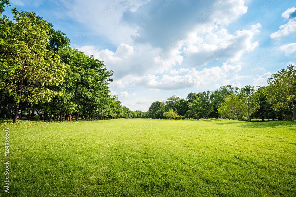 Public park landscape