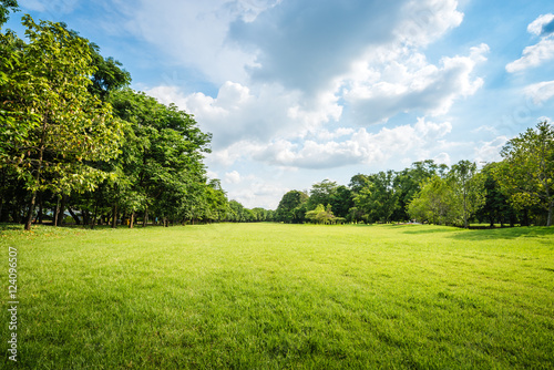 Public park landscape