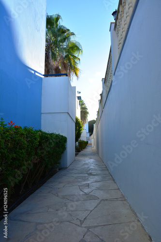 Obraz na płótnie Classical Greek architecture at dawn: white and blue wall, palm trees, sun w salonie