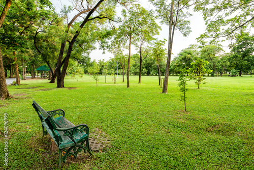 Bench in city park