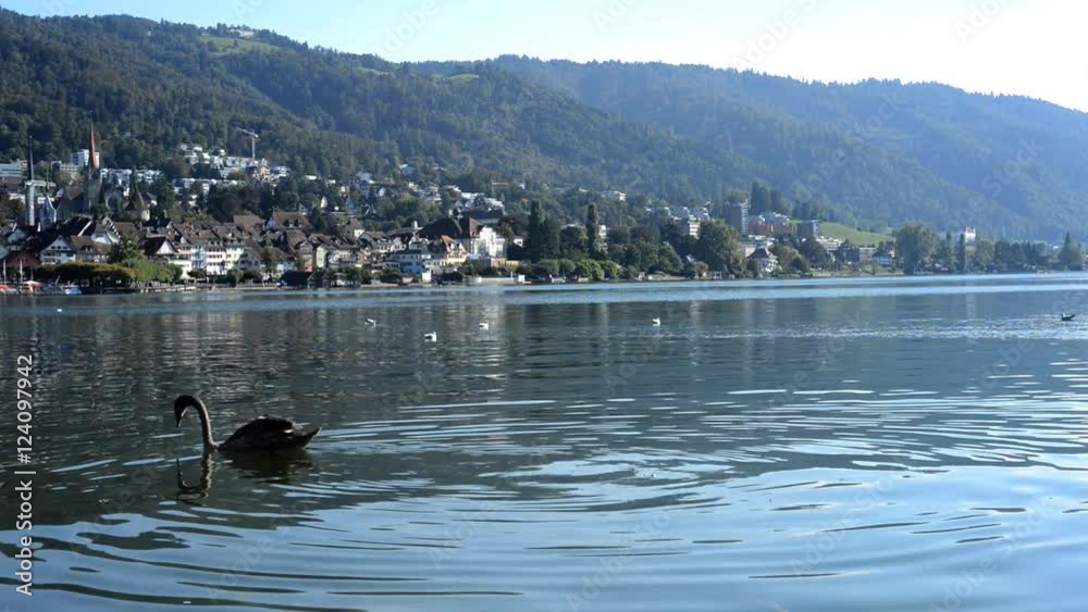 Blick auf die Stadt Zug in der Schweiz mit See und Schwan