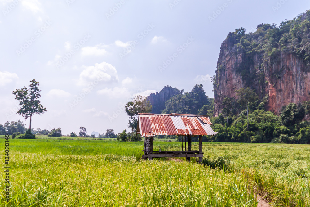 Ban Mung at Noen maprang Phitsanulok Thailand. Ban Mung at Noen maprang Phitsanulok Thailand.