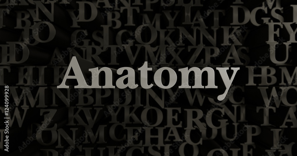 Anatomy - 3D rendered metallic typeset headline illustration.  Can be used for an online banner ad or a print postcard.