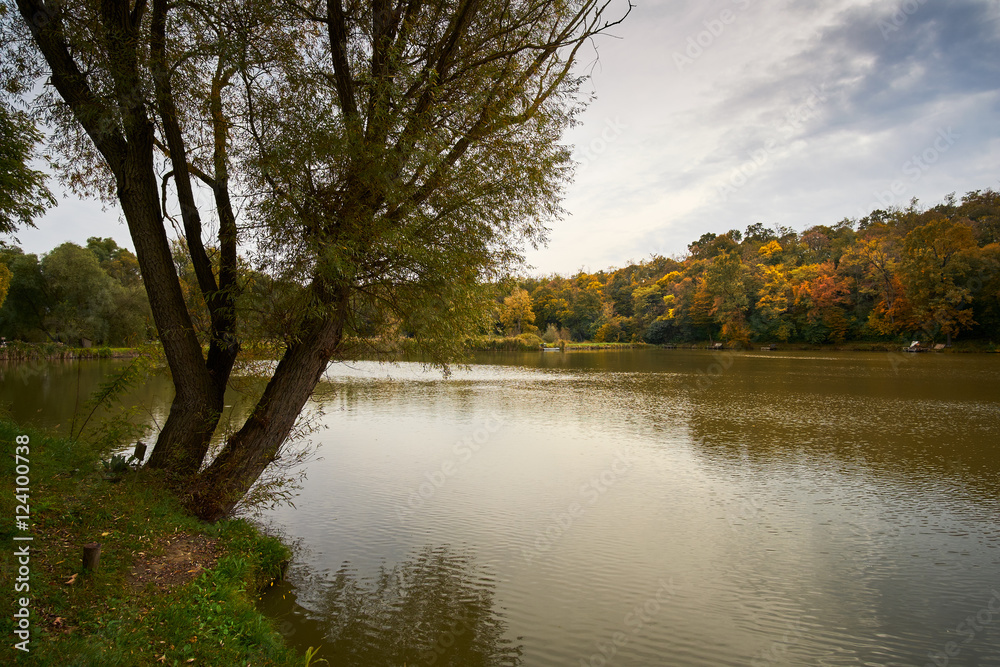 Fototapeta premium Colorful autumn lake