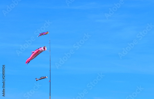  Koinobori, Carp streamer, Japan.