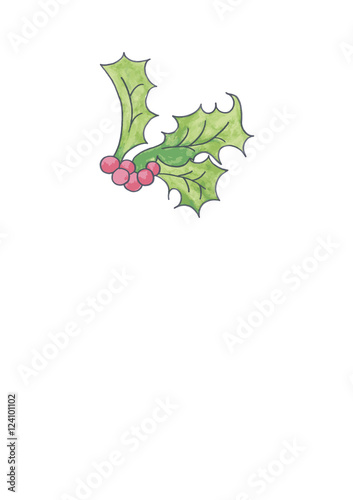 agrifoglio