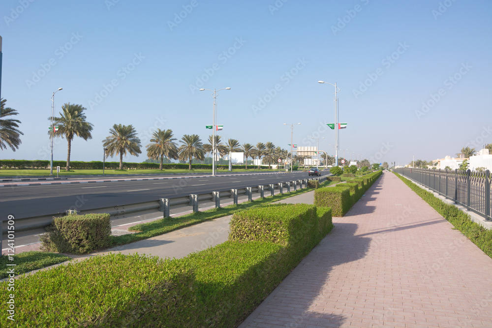 date palm alley along the highway, Dubai