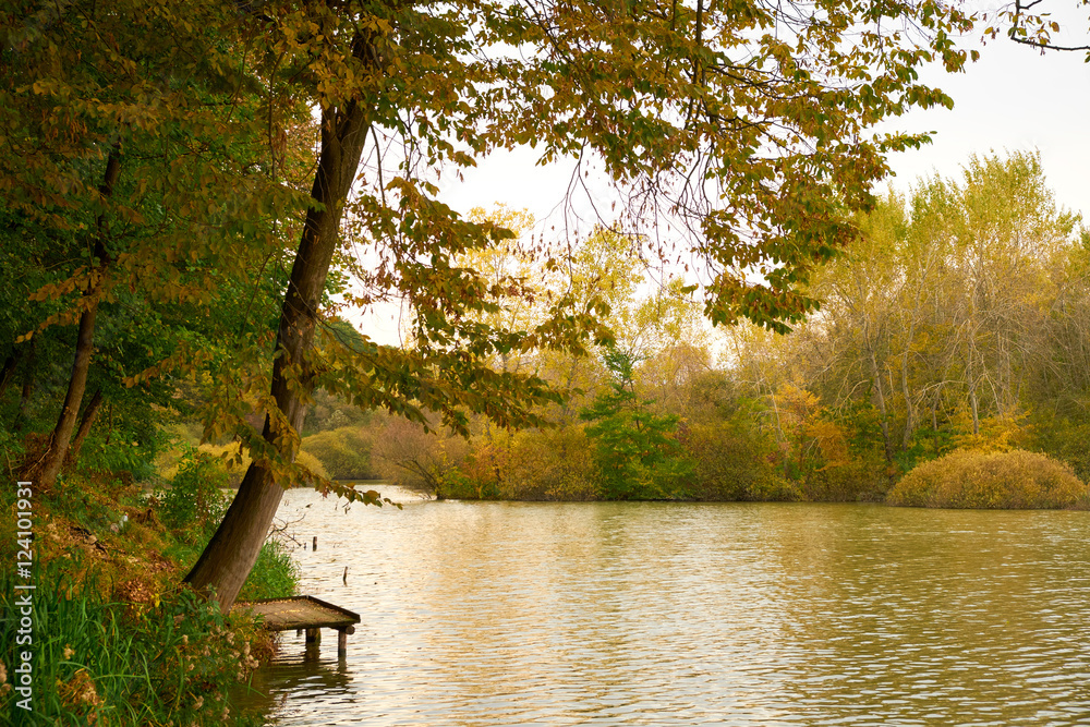 Autumn lake Autumn lake