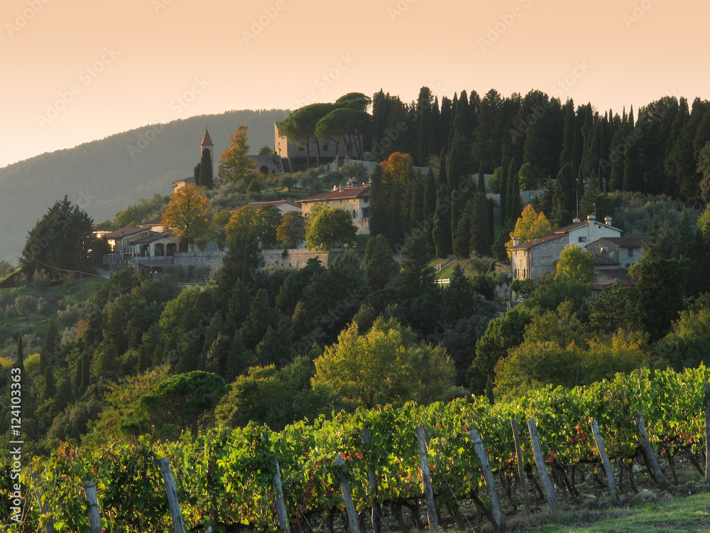Naklejka premium Wineyards at sunset in tuscany region, italy.