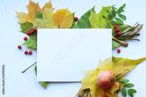 Creative seasonal autumn background. Close up of maple leaves and invitation card with place for text. Autumn wedding invitation. Top view, flat lay, view from above.