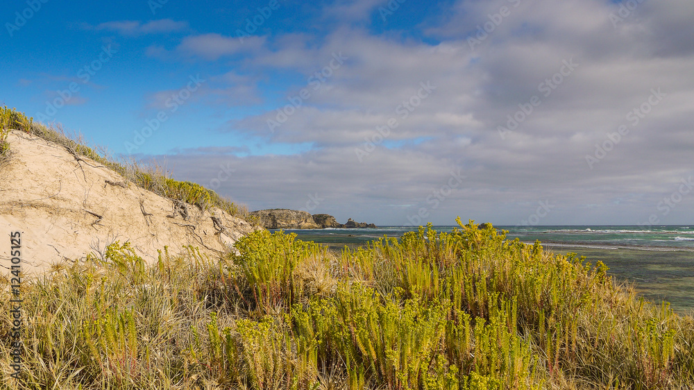 Strand bei Port MacDonnell in South Australia, Australien Strand bei Port MacDonnell in South Australia, Australien