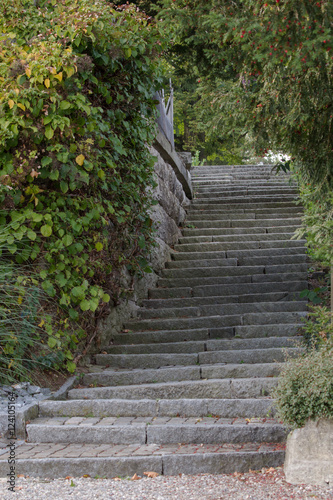 Stone stairs in a park