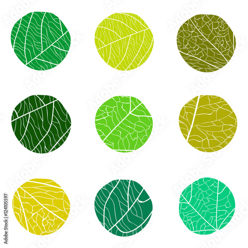 Floral green vector pattern. Curve circles with white veins inside. The concept for logo.
