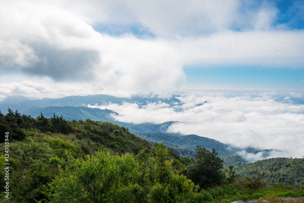 Peak green mountain white fog cloud landscape scenic