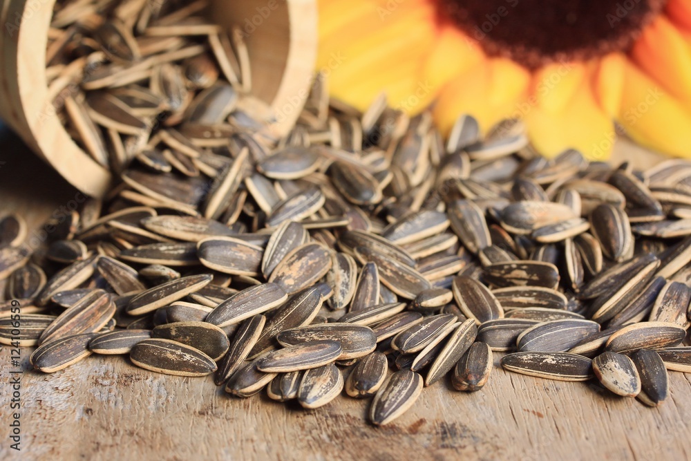 Sunflower seeds Sunflower seeds