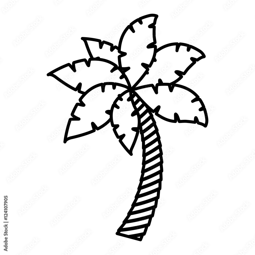palm tropical tree isolated icon vector illustration design