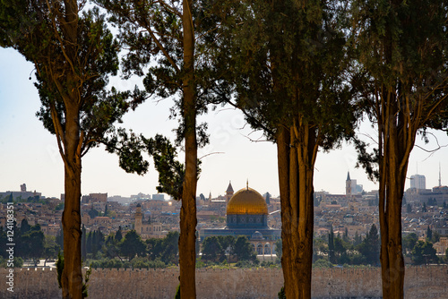 View of Jerusalem through the trees © michelangeloop