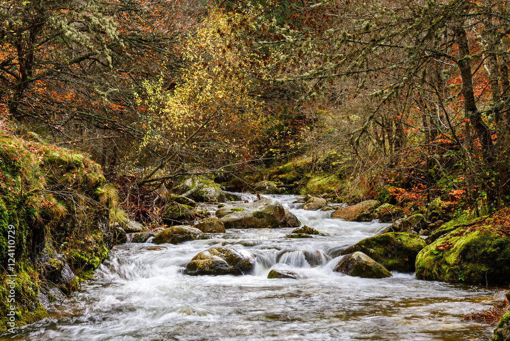 Iregua river at Sierra Cebollera Natural Park, La Rioja (Spain) Iregua river at Sierra Cebollera Natural Park, La Rioja (Spain)