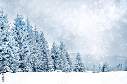 Christmas greetings background with snowflakes and fir trees