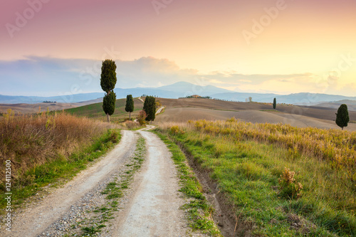 Landscape at sundown time - ground road and beautiful cypresses