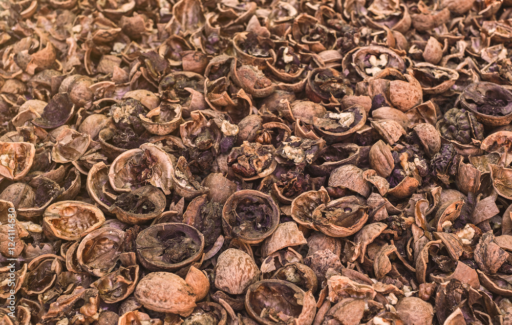 Cracked walnuts infected with mold, abstract background, closeup view Cracked walnuts infected with mold, abstract background, closeup view