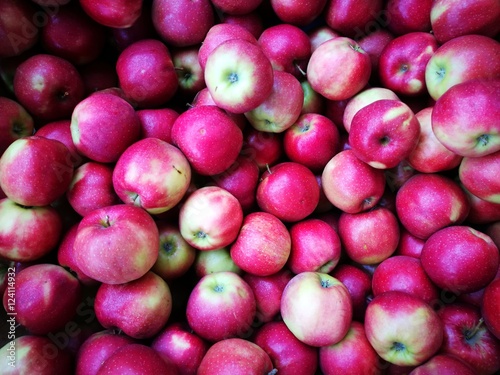 Leuchtend rote Äpfel auf dem Wochenmarkt im Herbst auf dem Marktplatz in Oerlinghausen bei Bielefeld am Hermannsweg im Teutoburger Wald in Ostwestfalen-Lippe photo