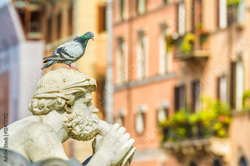 marble statue at piazza navona photo