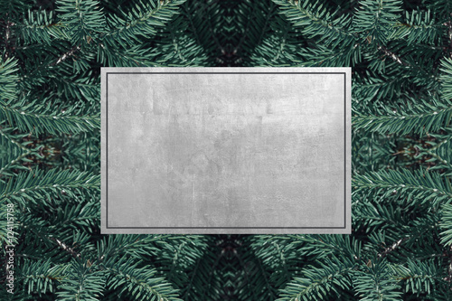 evergreen fir trees. text box