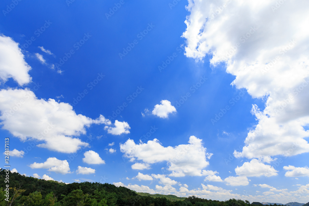 夏の青空と雲 夏の青空と雲