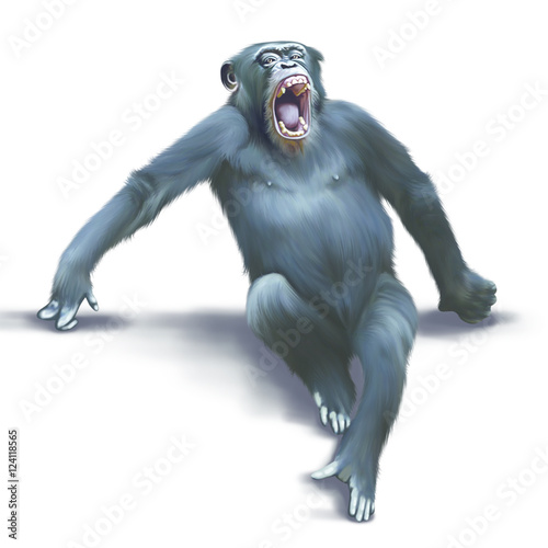 Ape