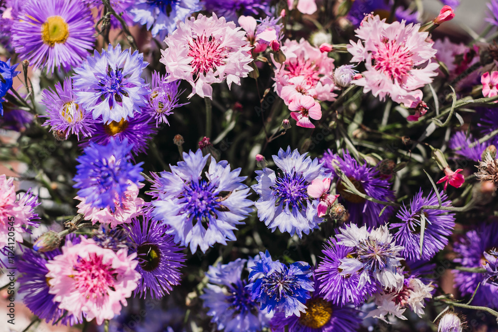 beautiful and delicate wildflowers in purple tones