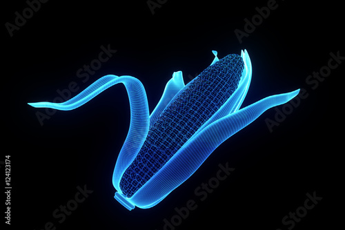 Corn in Hologram Wireframe Style. Nice 3D Rendering
