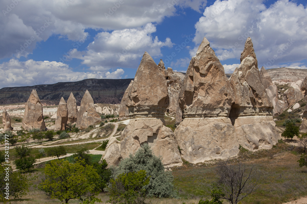 Naklejka premium Rock formation pattern in White valley, Turkey